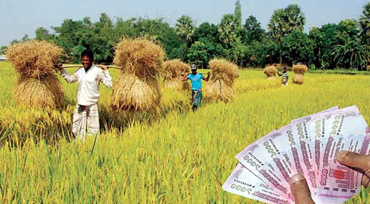 ৮ মাসেই বছরের কৃষি ঋণ বিতরণ করলো ১২ ব্যাংক